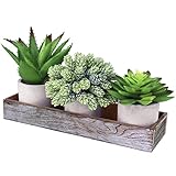 Winlyn Künstliche Aloe Hopfen Sukkulenten Arrangement gefälschte vorgetopfte Sukkulenten Pflanzen in rustikalem Holztablett für Einweihungsfeier Hochzeit Geschenk Bauernhaus Tisch Tafelaufsatz