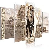decomonkey Bilder Abstrakt Tiere Löwe 200x100 cm XXL 5 Teilig Leinwandbilder Bild auf Leinwand Wandbild Kunstdruck Wanddeko Wand Wohnzimmer Wanddekoration Deko Afrika Gold