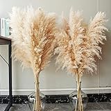 10 Stück Pampas Grass groß, Pampas Grass XXL, Pampas Grass Deko Gross für Boho DekoWohnzimmer Tisch Schlafzimmer Hochzeits Badezimmer(100cm)