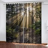 REPWEY Vorhänge Blickdicht Wohnzimmer Gardinen Verdunkelungsvorhang Schlafzimmer Kinderzimmer Thermovorhang 3D Sonnige Waldlandschaft Digitaldruck Ösenschal 2Er Set 220X214cm Fensterdekoration