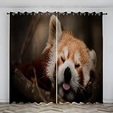 Boceoey Vorhang Blickdicht Roter Panda Vorhänge mit ösen, Verdunklungsvorhänge für Wohnzimmer Schlafzimmer, Gardinen Thermovorhang ösenvorhang 2er Set, H260xB140 cm