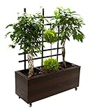 Eleganteinrichten Pflanzkübel, Pflanztrog Polyrattan mit Rankgitter 82x30x100cm Coffee braun