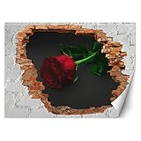 Feeby Fototapete 3D Loch in der Wand Abstrakt Natur 350x245 cm Rot Vlies Wandtapete Tapeten Wohnzimmer Schlafzimmer Büro Flur Moderne Design Wandbilder Wand Dekoration Rose