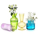 Kleine Vasen Hochzeit Tischdeko Vintage, 4 Teilig Farbig Mini Vase Glas Blumenvase Modern Set Hydroponic Glasvase Fuer Blumen Deko Hochzeit Tisch Wohnzimmer Couchtisch Badezimmer