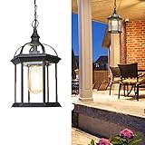 Outdoor Höhenverstellbar Pendellampe Retro Außen/Innen Hängeleuchte E27 Schwarz Wasserdichter IP23 Aluminium Glas Lampenschirm Pendelleuchte für Garten Flur Balkon Pavillon Villa Trauben Rahmen