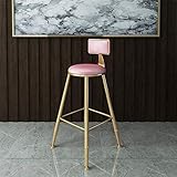 LOCZEK Barhocker Essstühle Height Barhocker Moderne Zeitgenössische Dining Caf Barhocker Stühle Mit Samtsitz Und Rückenlehne Metalleisen Finish/65 cm