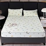 Laken für Wasserbetten Boxspringbetten und herkömmliche Matratzen 200 * 220 cm, Eisseide-Latex-Bettlaken mit Kissenbezug, cooler Sommer-Matratzenschutzbezug Erwachsene, Schlafzimmer für Kinder Hund