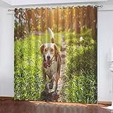 AOKLEY 2 Stücke Gardinen Kinderzimmer Schlafzimmer Tierischer Hund Thermovorhang Verdunkelungsvorhang Weihnachten Dekoschals Vorhänge 3D 182(B) X214(H) cm Muster Blickdicht Ösenvorhang
