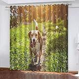 AOKLEY Blickdicht Gardinen Mit Ösen Für Tierischer Hund 170(B) X200(H) cm Bedruckt Schlafzimmer Verdunklungsgardinen Blickdicht Vorhang -Esszimmervorhänge -Lärmreduzierung Und Schalldämmung