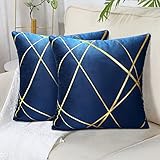 40x40 cm Samt Kissenbezüge Navy blau 2er Set Flansch Kissenhülle Dekorative Sofakissen Bronzieren Geometrische Linien Dekokissen Kissenbezüge Zierkissenbezug für Sofa Wohnzimmer Schlafzimmer