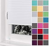 Home-Vision® Premium Plissee Faltrollo ohne Bohren mit Klemmträger / -fix (Weiß, B125cm x H100cm) Blickdicht Sonnenschutz Jalousie für Fenster & Tür