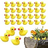 Gummi Enten, 50 Stück Mini Ducks Bulk, Badeente Klein Mini Gummi Enten, Yellow Duck Figuren Für Baden Für Baby Party Geburtstags Feier, DIY Dekoration