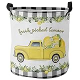 Wäschesammler Tropical Lemon Truck Plaid Buffalo Check Schwarz Weiß Wäschekörbe Tragbar Handtuchkorb Faltbare Spielzeugkorb Für Schlafzimmer Bad Kleidung,40X50Cm