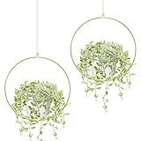 Mkouo Boho Hangende Pflanzen, 2er Set Runder Metallpflanzenhalter mit Kunststoff Blumentopf, Moderner Wand- und Deckenpflanzer Blumentopfhalter, Passend fur 15cm Pflanzgefaß, Gold (Topfe enthalten)