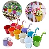 GIOVARA Metall-Blumentopf, Blumenampel für Pflanzen, 10 Stück Bunte Blumentöpfe zum Aufhängen, hänge Blumentopf mit Ablaufloch, Balkontopf mit Abnehmbarer Haken (13 x 13.5 x 9.5 cm)