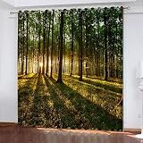 3D Vorhang Blickdicht Sonnige Waldlandschaft 100% Polyesterfaser Wohnkultur Personalisierter Druck Kinder Vorhang Schlafzimmer 182(B) X214(H) cm - Wohnzimmer Büro Kinderzimmer Fenster Dekor