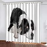 Verdunkelungsvorhang Kinderzimmer Junge Mädchen Blickdichter Ösenvorhang 3D Schwarz-Weißer Welpendruck Muster Ösenschal 2Er Set 140X160Cm Vorhänge Schlafzimmer Thermo Gardinen Fensterdekoration