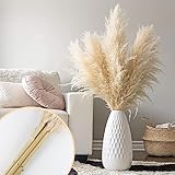 Poiuyoiu Pampas Grass XXL 3 Stück Pampasgras großes Pampasgras getrocknet XXL, künstlich pampasgras XXL Boho-Trockenblumenstrauß für Heimdekoration, Fotografie(112-115 cm)