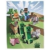 Character World Minecraft Kuscheldecke 160x200 cm · Coral Fleece-Decke Minecraft Figuren Fanartikel für Kinder, Teenager und Erwachsene · Tagesdecke · Überwurf