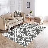 Crystal Velvet Carpet (Various Types) Nordic Rug Crystal Velvet 3D Print and Dyeing Room Living Room Coffee Table Full of Lovely Bay Window Balcony Bedroom Bedside Matte