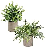 Kunstpflanze , 2 Kunstpflanzen, Kleine Pflanzen Künstlich in Töpfen - Schreibtisch Deko Pflanzen für Büro, Schreibtisch, Haus, Küche, Garten, Tisch und Badezimmer