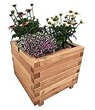 HOQ Pflanzkasten aus Lärche - mit Vlies und Griffen - Premium Pflanzkübel - Holz Blumentopf - Hochbeet aus Holz - Blumenkasten 50 x 50 x 44 cm