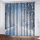 REPWEY Gardinen Wohnzimmer Kinderzimmer Verdunkelungsvorhang 3D Weiße Schneeflockenlandschaft Druck Vorhänge Blickdicht Schlafzimmer Thermovorhang Mit Ösen, 2Er Set Fensterdekoration 260X214cm (BxH)