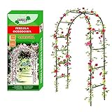 PERGOLA GARTENTISCH FAHREN 240cm + COT