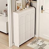Schmaler Schuhschrank, Schuh-Organizer, freistehende Schuhregale, Schuhaufbewahrung für den Eingangsbereich, Schuhschrank mit Türen (Farbe: B, Größe: 50 cm)