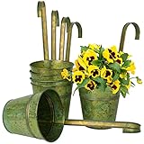 Oairse 6er Set Hängende Blumentöpfe mit abnehmbaren Metallhaken, Blumentöpfe aus verzinktem Stahl perfekt für Moderne Dekoration und Pflanztöpfe, für Pflanzen im Freien, Balkon, Garten