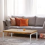 WOMO-DESIGN Couchtisch Siena 120x40x60cm, Unikat, Handgefertigter Wohnzimmertisch im Landhaus-Stil, Sofatisch aus Massivholz Sheesham Natur, Edelstahl Metallgestell, Moderner Beistelltisch Kaffeetisch