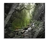 Pixxprint Kleinder Wasserfall im Dschungel B&W Detail Herdabdeckplatte & Spritzschutz aus Echtglas | Für Herd-Kochfelder | 60x52 cm