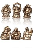 Yudu® 6 stück Verschiedene Buddha Figuren Glücksbringer Happy Buddha