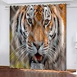 Gardine Vorhänge 2 Stück x 75 B x 166cm H Tiere & Gelbe Löwen Verdunklungsvorhang Verdunklungsgardinen mit Ösen