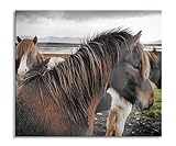 Pixxprint Herde aus schönen Wildpferden Herdabdeckplatte & Spritzschutz aus Echtglas | Für Herd-Kochfelder | 60x52 cm