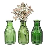 Nordstern Vase 'Almería' Grün 3er Set - Ø 7 x 16 cm