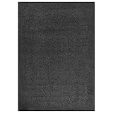 ZEYUAN Teppich, Teppich Schlafzimmer, Kuschelteppich, Teppich Wohnzimmer, Carpet Bedroom, Teppich Babyzimmer, Bettvorleger, Shaggy Hochflor Anthrazit 120x170 cm