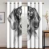 IZREEL Gardinen Wohnzimmer Kinderzimmer Ösenvorhang Blickdicht Vorhänge 2Er Set 220X264cm(Bxh) 3D Mode Schwarz-Weißer Hund Muster Verdunkelungsvorhang Schlafzimmer Fensterdekoration Thermovorhang