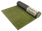 Primaflor Kunstrasen ARIZONA - 2,00m x 4,00m, Verschiedene Größen, 37 mm Hoch, UV-Beständiger, Wasserdurchlässiger, Rasenteppich, Outdoor Bodenbelag, Kunstgras für Garten, Terrasse und Balkon