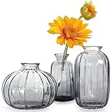 Mini Deko Vasen Set, 3 x kleine Vasen aus Glas Vintage, Verschiedene Groessen Blumenvase, Tischvasen Glasvasen, Deko-Flaschen, für Tischdeko Mittelstücke, Geburtstag, Hochzeitsdekorationen Feier