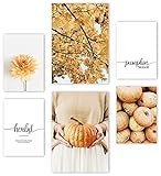 Mia Félice Premium Poster Set » Pumpkin Season « 2x A3 | 4x A4 - Moderne Bilder für das Wohnzimmer und Schlafzimmer - Wandbilder ohne Rahmen - Flur Deko - Dekoration