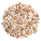 Vesaneae Muscheln Gemischt, Ntürliche Muschelschale, Ozean Muscheln, Beach Spiral Muscheln, Deko-Muscheln, Gefärbte Muschelschale, Groß Jakobsmuschel, Verschiedene Größen Natürliche Muscheln (C)