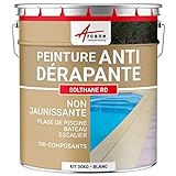 ARCANE INDUSTRIES SOLTHANE RD - Peinture antidérapante sol extérieur intérieur - Weiß - 30kg kit cover up to 62m2 for 2 coats