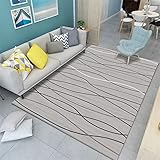 RUGMRZ Waschbare Teppich Teppich Büro Grauer Teppich, dekorative Wohnzimmer Teppich, weiche Farbe ohne Verformung Teppich Modern 200X300CM