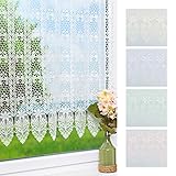 Plauener Spitze Scheibengardine Blütenmedaillon (Bx H) 112cm * 90cm weiß