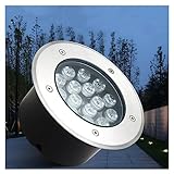 GOFQB Untergrundlicht LED Terrassenleuchten for Den Außenbereich 3W-36W 12V/24V Niederspannungs-Landschaftsleuchten IP67Wasserdicht for Auffahrt, Terrasse, Stufe, (Color : Blue, Size : 12W)