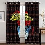 Thermovorhänge Wohnzimmer Modern Blickdicht 140X110cm (HxB) 3D Bunter Hintergrund Des Afrikanischen Kontinents Muster Blickdicht Ösenschal 2Er Set Verdunkelungsvorhang Vorhänge Lärmminderung Gardinen