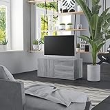 RAUGAJ TV-Schrank grau Sonoma 80 x 34 x 36 cm Holz, Artikelfarbe grau sonoma