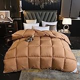 Bettdecke 200x200cm,Winter Duvet 240 X 220 cm,Luxus Bettdecke Weiche GäNsedaunen Daunendecke Daunendecken Federbett Weich Winter Steppdecke Decke TröSter