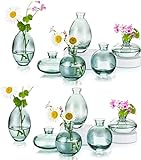 Kleine Vasen Für Tischdeko Aus Hewory, 12 Stück Vase Glas Mini Vasen Set Modern Glasvase Grün Kleine Blumenvasen Für Hochzeitsdeko Tisch Wohnzimmer Deko